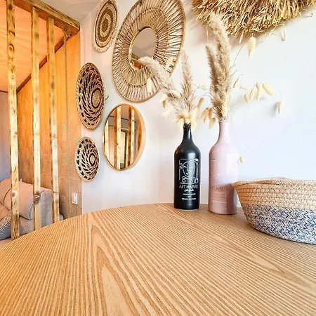 Savane Terrasse Clim 200m Parking Prive Apartament Agde